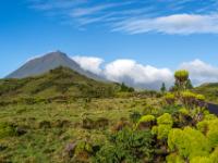 Wolken stauen sich an der Nordseite des Pico Gipfels - Pico